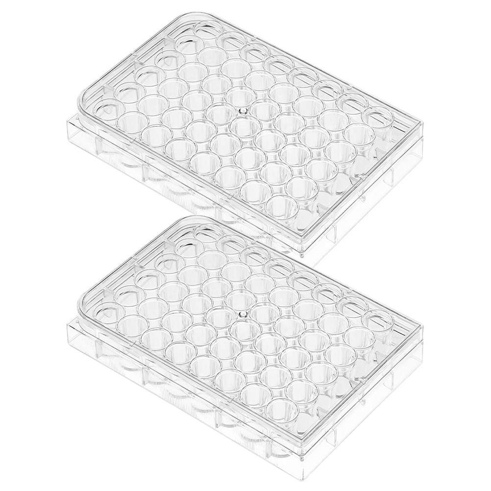 2 Placas de Cultivo Celular de - Science Experiment reseña y precio